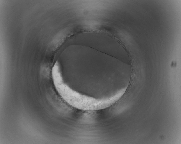 X0000110760720200907131210