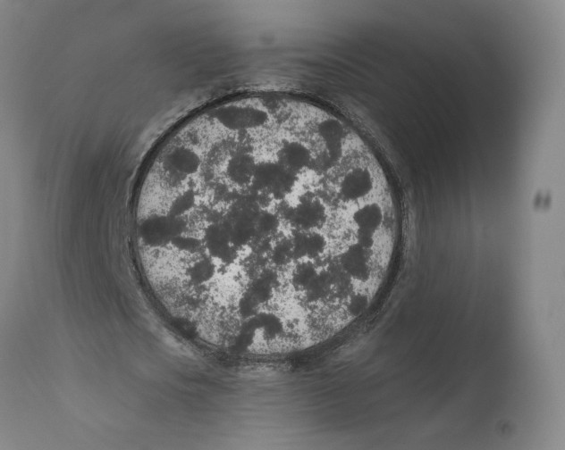 X0000110760721200907131209