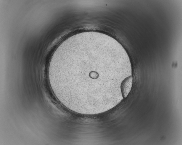 X0000110760722200907131209