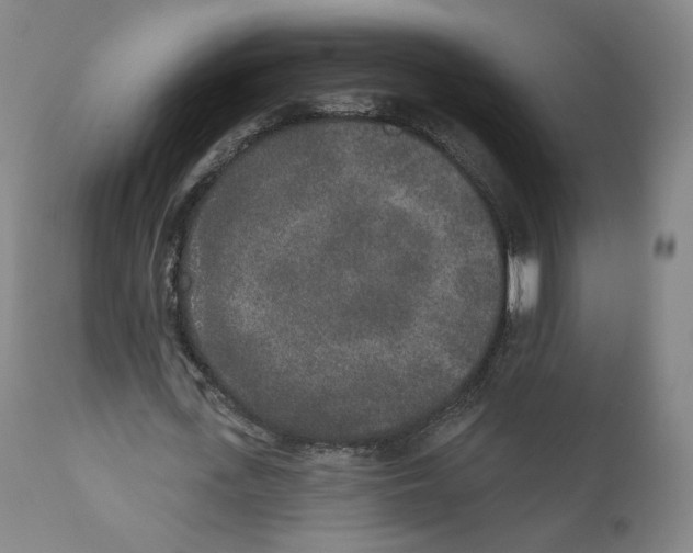 X0000110760723200907131209