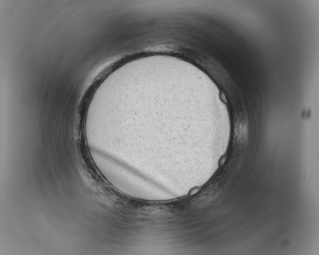 X0000110760724200907131209