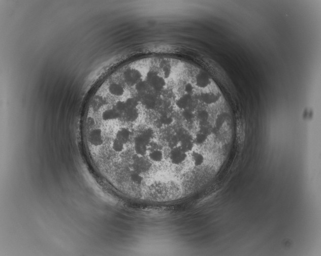 X0000110760725200907131209