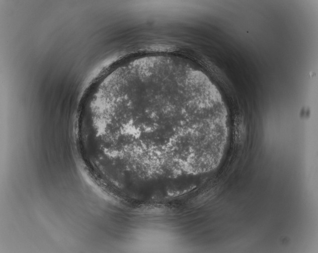 X0000110760726200907131209