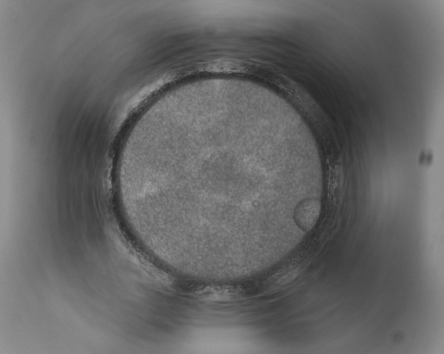 X0000110760727200907131209