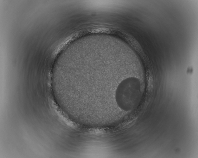 X0000110760729200907131209