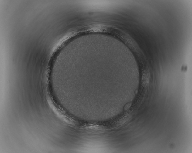 X0000110760730200907131209