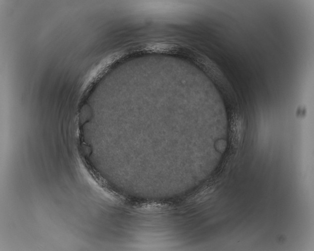 X0000110760734200907131209