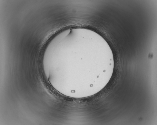 X0000110760736200907131209