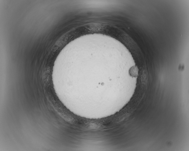 X0000110760737200907131209