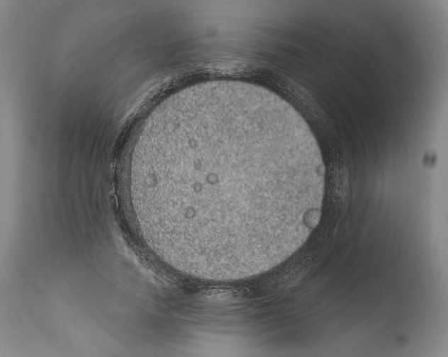 X0000110760738200907131209