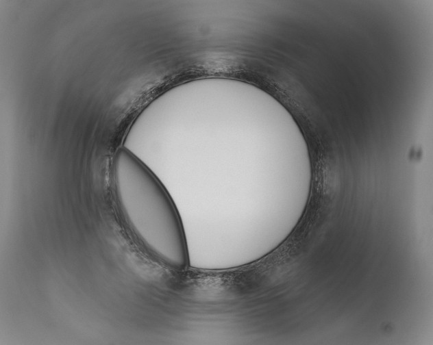 X0000110760740200907131209