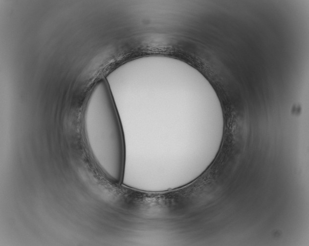 X0000110760744200907131210