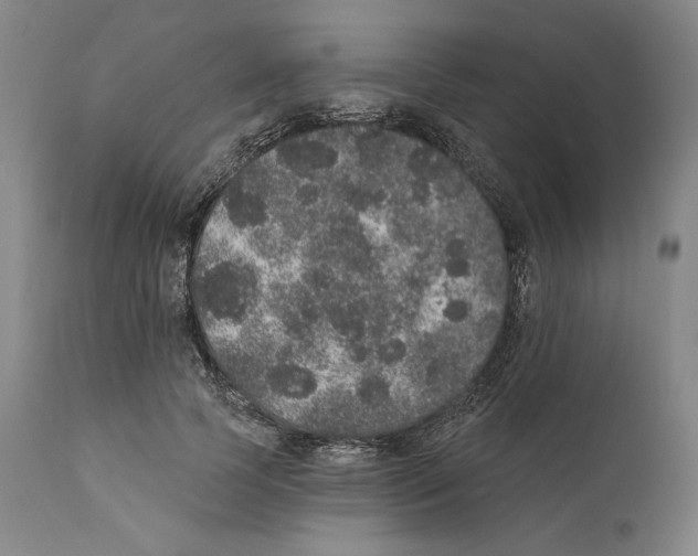 X0000110760745200907131210