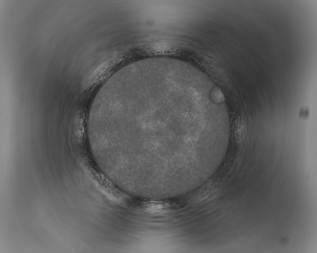 X0000110760746200907131210