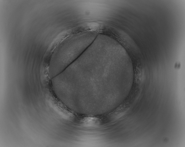 X0000110760748200907131210