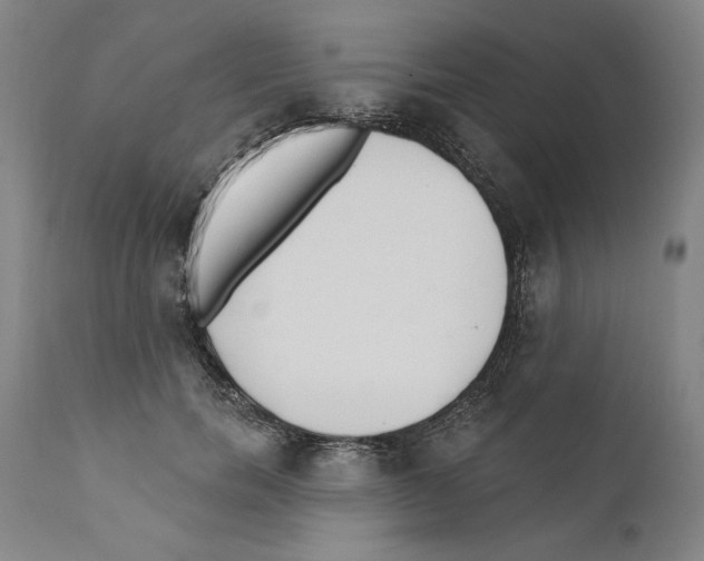 X0000110760750200907131210