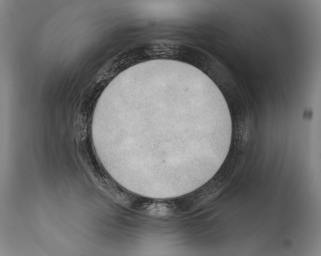 X0000110760751200907131210