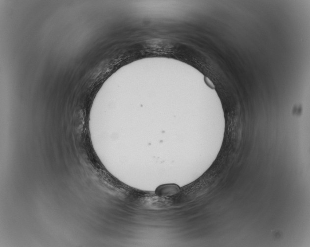 X0000110760752200907131210