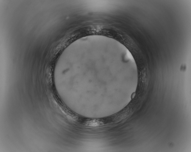 X0000110760754200907131210