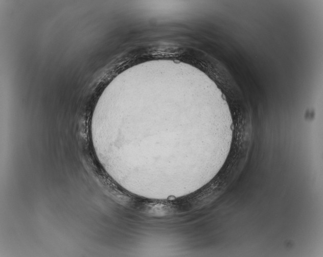 X0000110760755200907131210