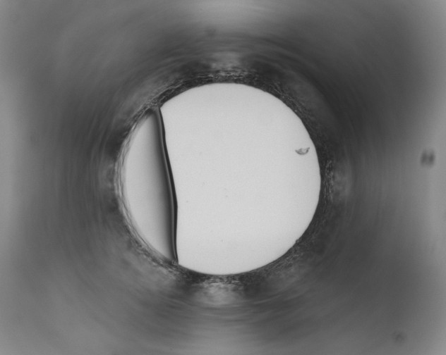 X0000110760756200907131210