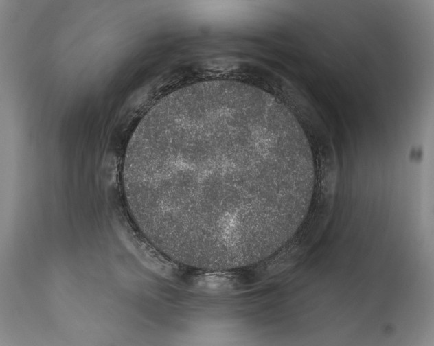 X0000110760758200907131210