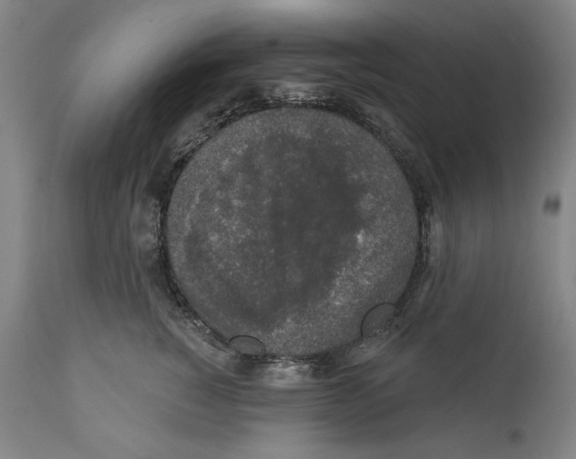 X0000110760760200907131210