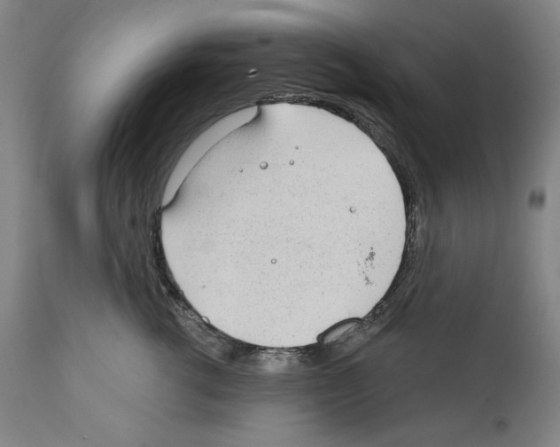 X0000110760762200907131210