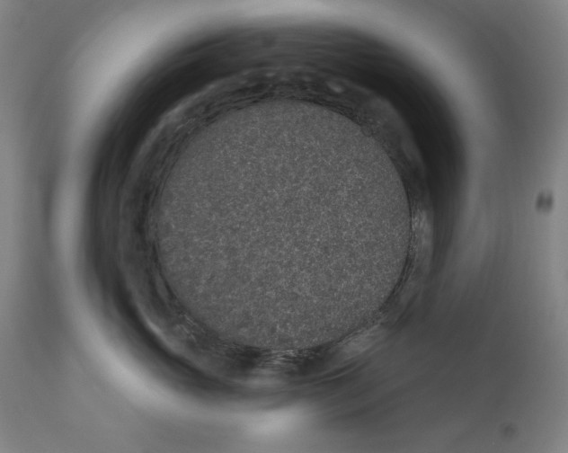 X0000110760765200907131210