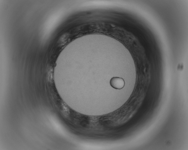 X0000110760766200907131210