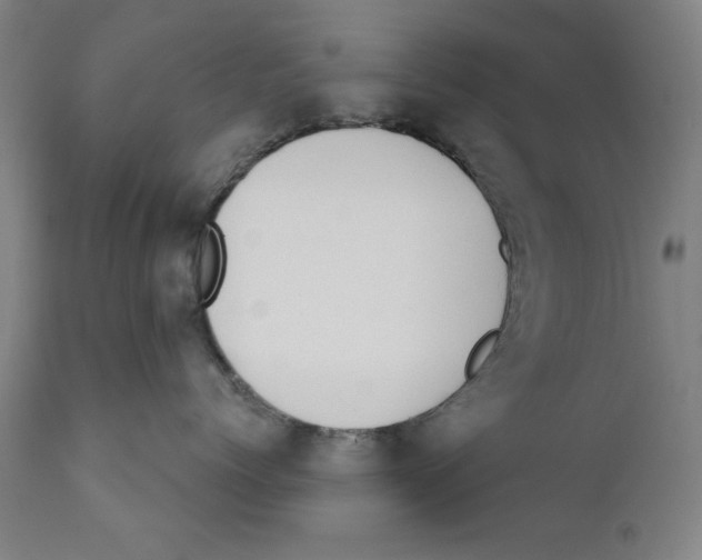 X0000110760768200907131210