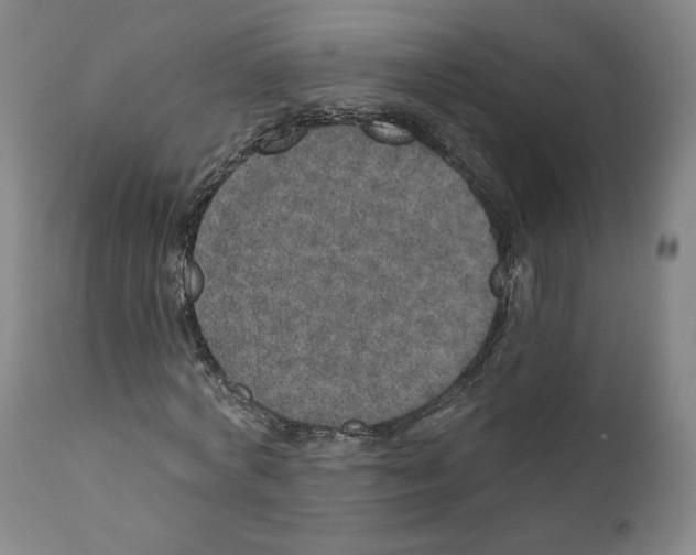 X0000110760772200907131209