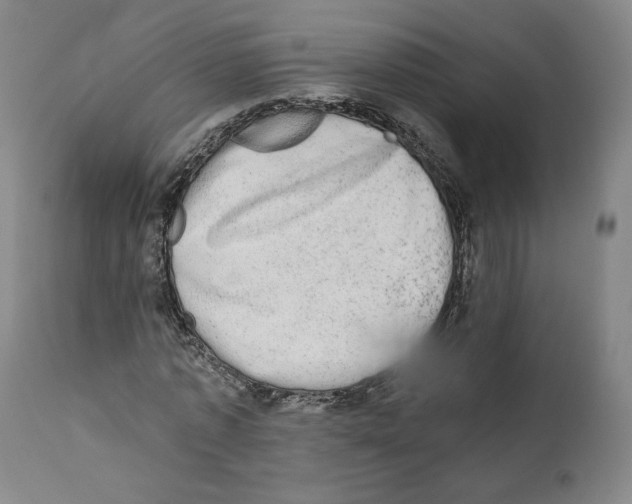 X0000110760773200907131209