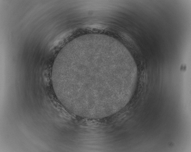 X0000110760774200907131209