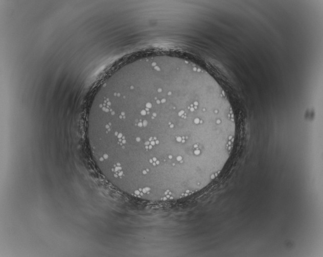 X0000110760776200907131209