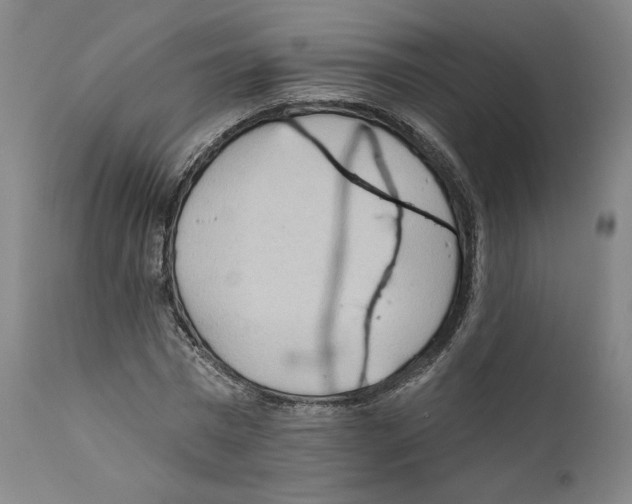 X0000110760777200907131209