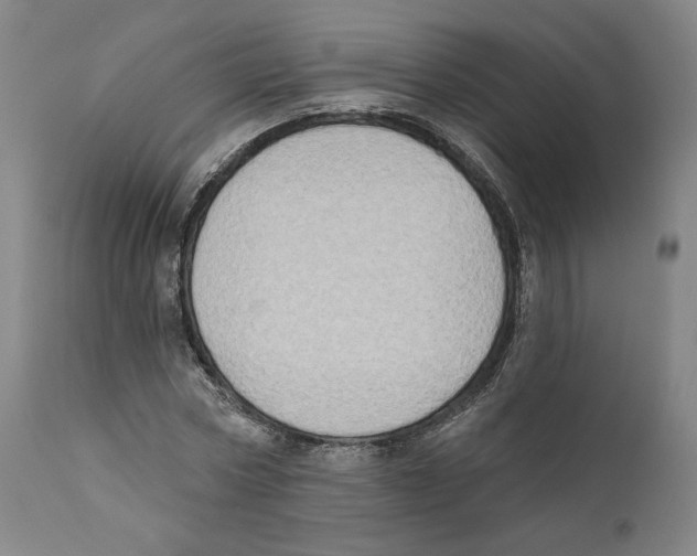 X0000110760778200907131209