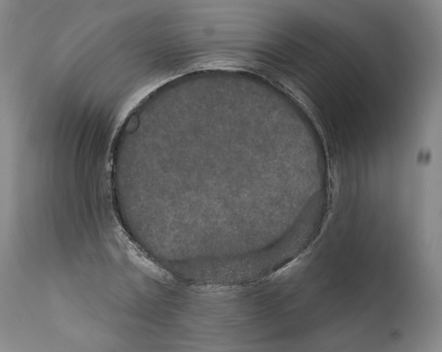 X0000110760779200907131209