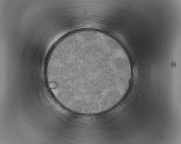 X0000110760780200907131209