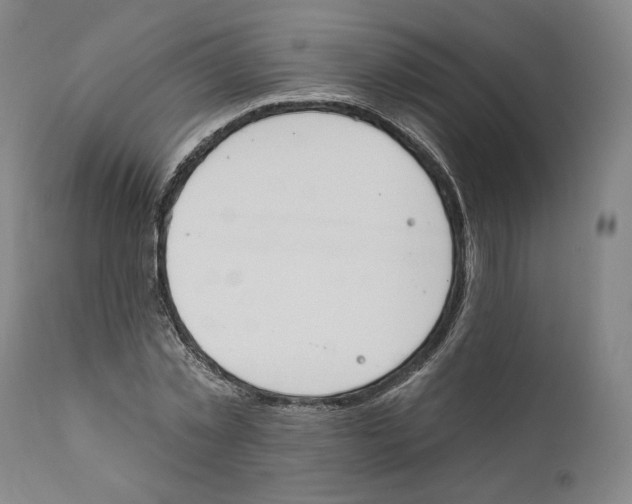 X0000110760781200907131209