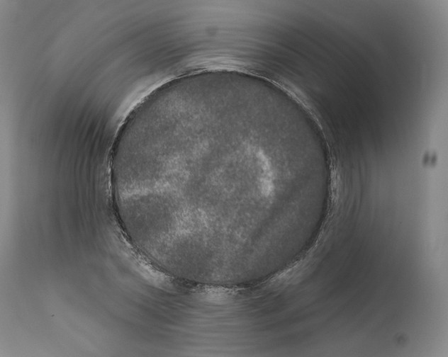 X0000110760782200907131209