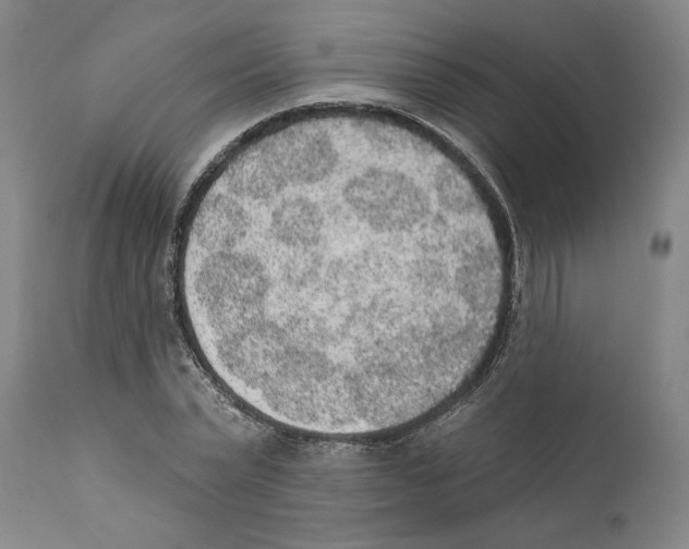 X0000110760783200907131209