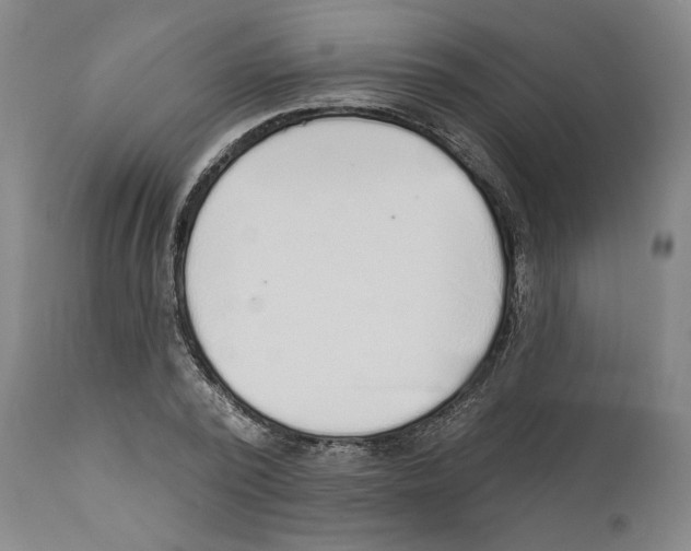 X0000110760784200907131209