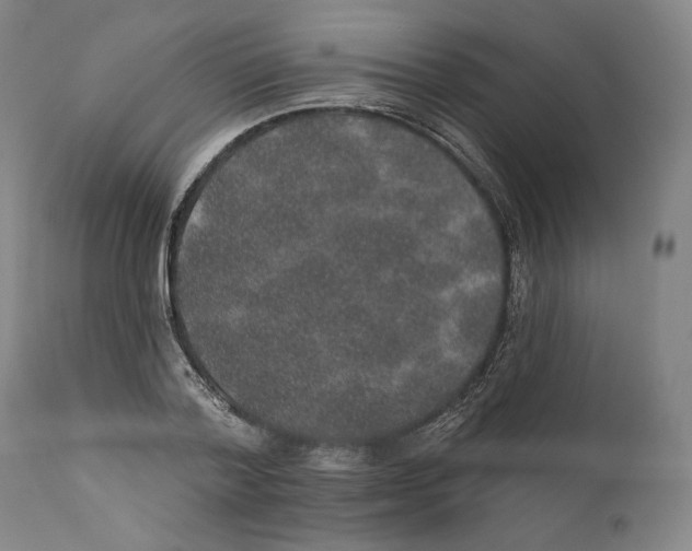 X0000110760788200907131209