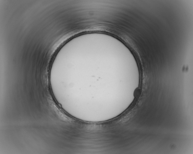 X0000110760789200907131209