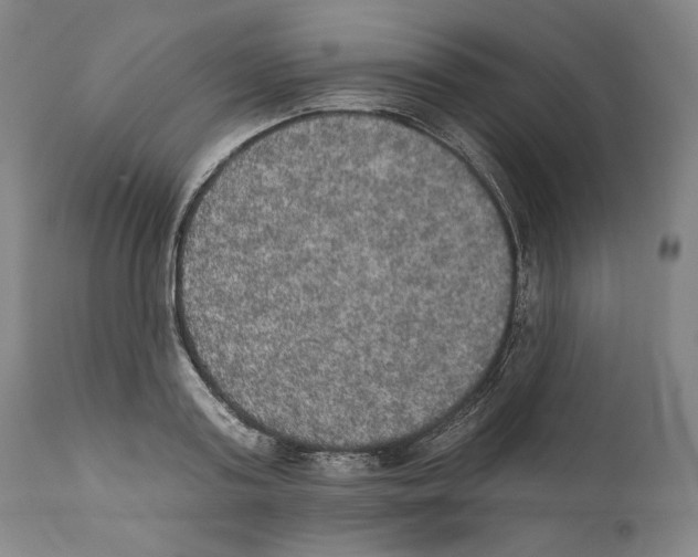 X0000110760795200907131209