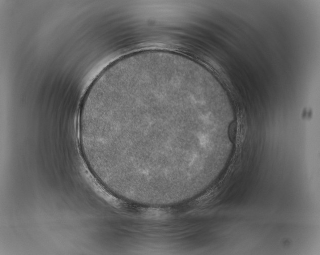 X0000110760796200907131209