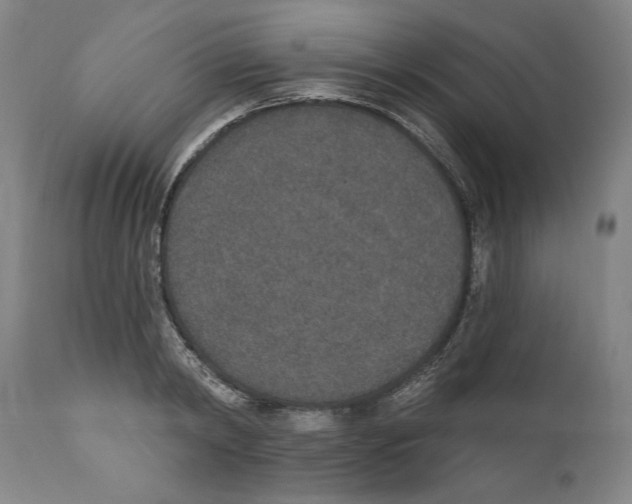 X0000110760798200907131209