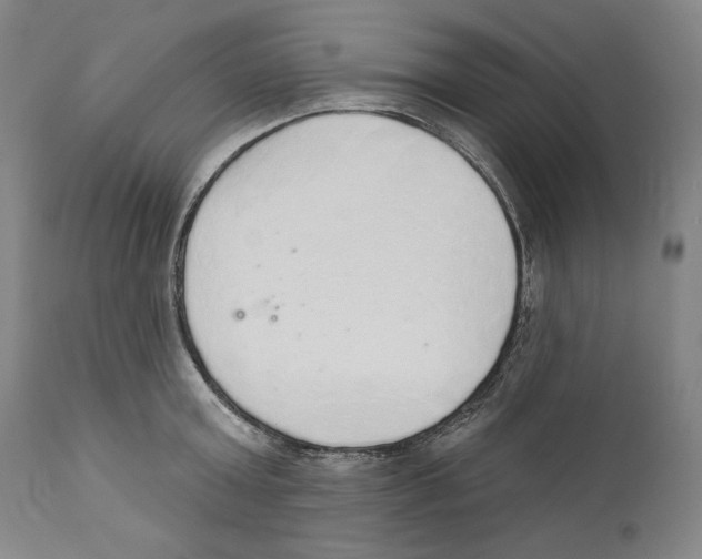 X0000110760803200907131208