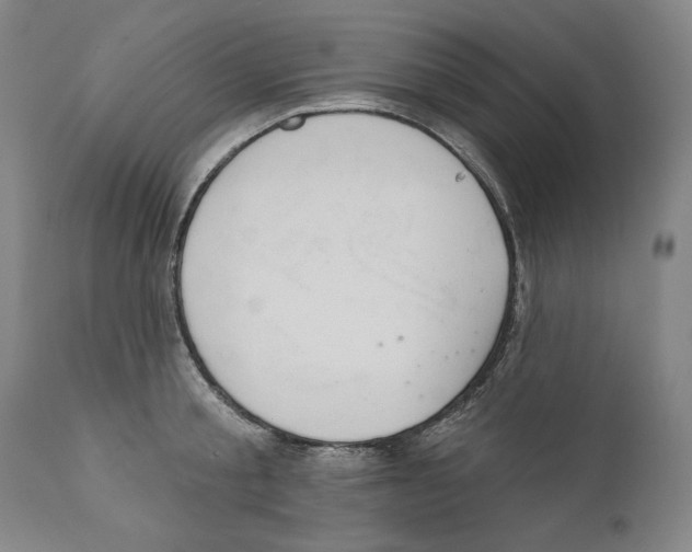 X0000110760805200907131208